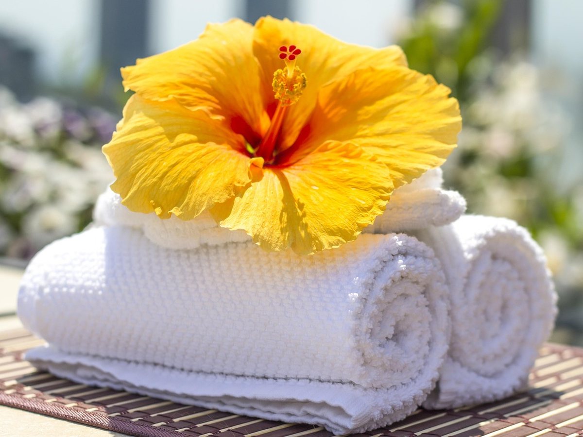 Serviette blanche et fleur d'hibiscus, cabine d'épilation